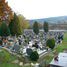 Cmentarz (pl)