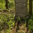 Brzozówka (gm. Obrowo), Evangelical cemetery (pl)