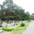 Bydgoszcz, Wiślana Municipal cemetery