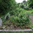 Mill Road Cemetery