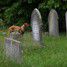 Mill Road Cemetery