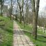 Chełm, cmentarz wojenny