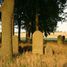 Cieszowa (gm. Koszęcin), Jewish cemetery (pl)