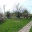 Góra Kalwaria, cmentarz żydowski (kirkut) (pl)