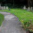 Great Gidding, Baptist Church