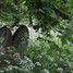 Great Staughton Old Cemetery