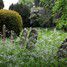 Great Staughton Old Cemetery