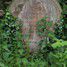 Great Staughton Old Cemetery