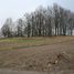 Katarzynów (gm. Koluszki), cmentarz luterański