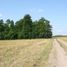 Konstantynów (gm. Kocierzew Południowy), cmentarz ewangelicki