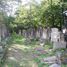 Łódź, nouveau cimetière juif 