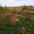 Lutowiska, Jewish cemetery