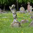 Peterborough, Eastfield Cemetery