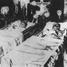 Убийство эрцгерцога Франца Фердинанда как повод для начала Первой мировой войны