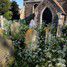 St Marys Church, Fen Drayton