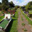 Sutton Parish Cemetery, Cambridgeshire