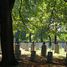 Тарнув-Хышув, Воинское кладбище № 200 (pl)