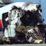 W katastrofie lotu United Airlines 232 w Sioux City w stanie Iowa zginęło 111 osób, a 185 zostało rannych