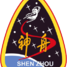Chiny jako trzeci kraj wystrzeliły załogowy statek kosmiczny Shenzhou 5
