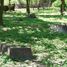 Zdewastowany cmentarz (pl)