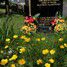 Histon And Impington Cemetery