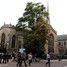 Holy Trinity Church, Cambridge