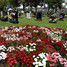 Huntingdon, Primrose Lane Lawn Cemetery
