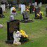 Huntingdon, Primrose Lane Lawn Cemetery