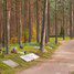 Der Tallinner Waldfriedhof -Tallinna Metsakalmistu