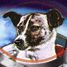 Laika became the first dog to travel in space, aboard the Soviet spaceship "Sputnik 2"