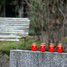 Pieņemts lēmums - Rīgas kapsētas turpinās paplašināt