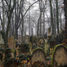 Cracow, New Jewish cemetery