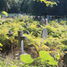 London, Brompton Cemetery