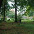 Липск, ерейское кладбище (Польша)