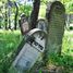 Otwock, cmentarz żydowski w Karczewie-Anielinie (kirkut)