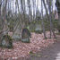 Der jüdische Friedhof Bayreuth