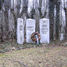 Der jüdische Friedhof Bayreuth