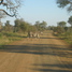 Na terenie dzisiejszej RPA utworzono pierwszy na świecie rezerwat przyrody (dziś część Parku Narodowego Krugera)