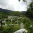 Atuona, Calvary Cemetery