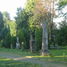 Klimkówka (gm. Rymanów), cmentarz parafialny