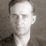 Vladimir Vojcehovich
