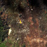 Mount Salak Sukhoi Superjet 100 crash