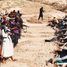Боевики «Исламского государства» убили 400 мирных жителей в Пальмире
