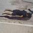 Teroristu uzbrukumā Tunisijā - vismaz 40 bojāgājušie