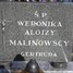 Alojzy Malinowski
