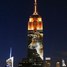 Cecil the lion and other endangered animals are projected on to Empire State Building in stunning New York light display