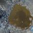Ķīnas pilsētas Tjaņdzjiņas ostā eksplodējusi sprāgstvielu noliktava. Tiek ziņots par simtiem ievainoto