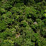 W dżungli amazońskiej rozbił się brazylijski samolot pasażerski Boeing 737-800, w wyniku czego zginęły wszystkie 154 osoby na pokładzie