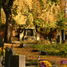 Bytom.New Evangelical Cemetery (pl)