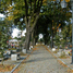 Bytom, Parirish Cemetery Rozbark (pl)